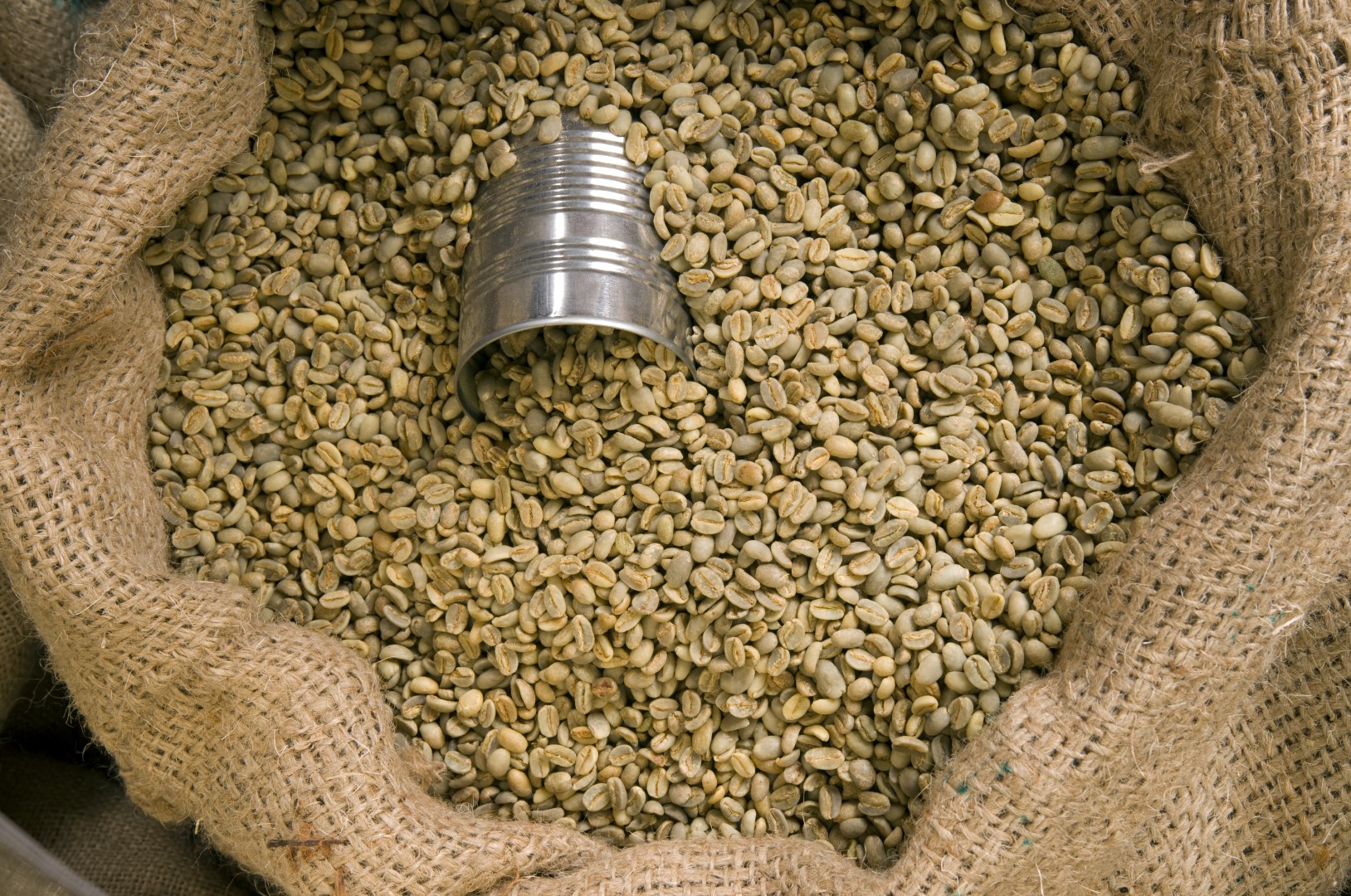 A can sits in the beans waiting to scoop and take beans to the roaster