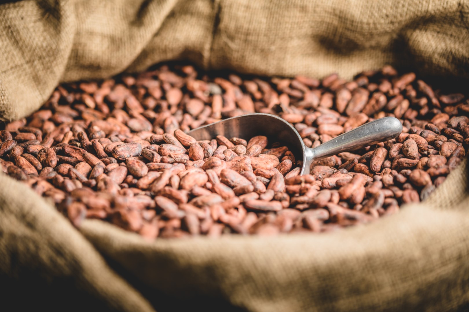 Close-up of Canvas bag with Imported roasted cacao beans