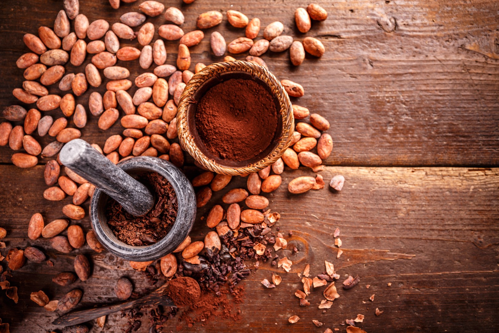 Cocoa concept with stone mortar and pestle with raw, peeled, and crushed Theobroma cacao cocoa beans